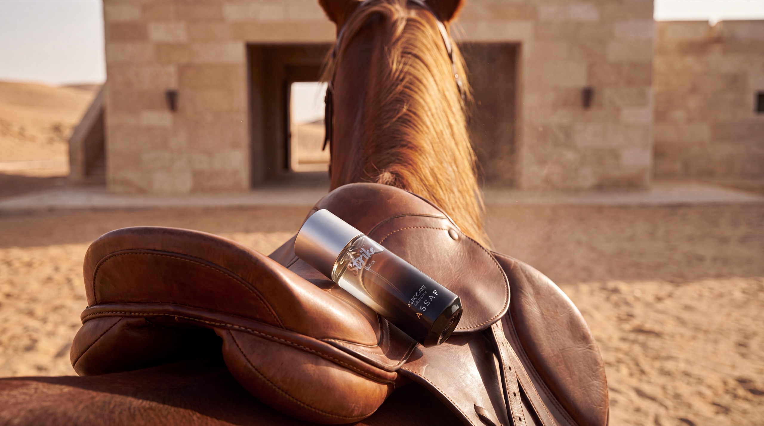 ASSAF Strike Black — the bottle carried in the saddle, and the bottle at rest on the ledge — before